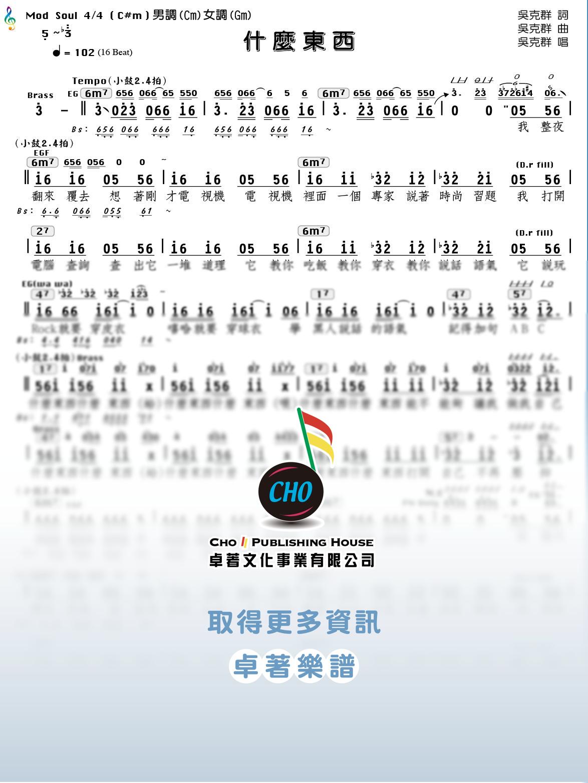 什麼東西
